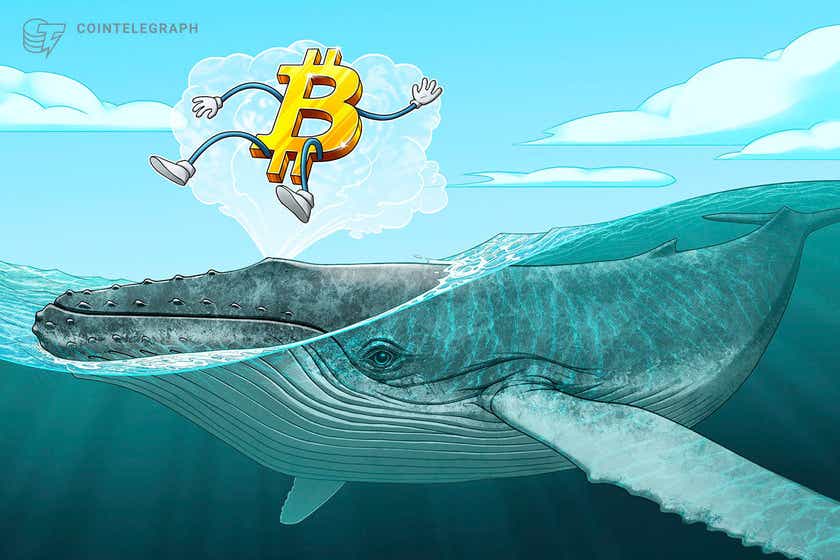 Third-largest whale celebrates Bitcoin’s birthday with 456 BTC buy
