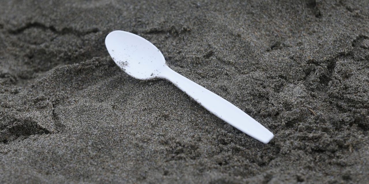 England’s banning plastic plates and cutlery later this year