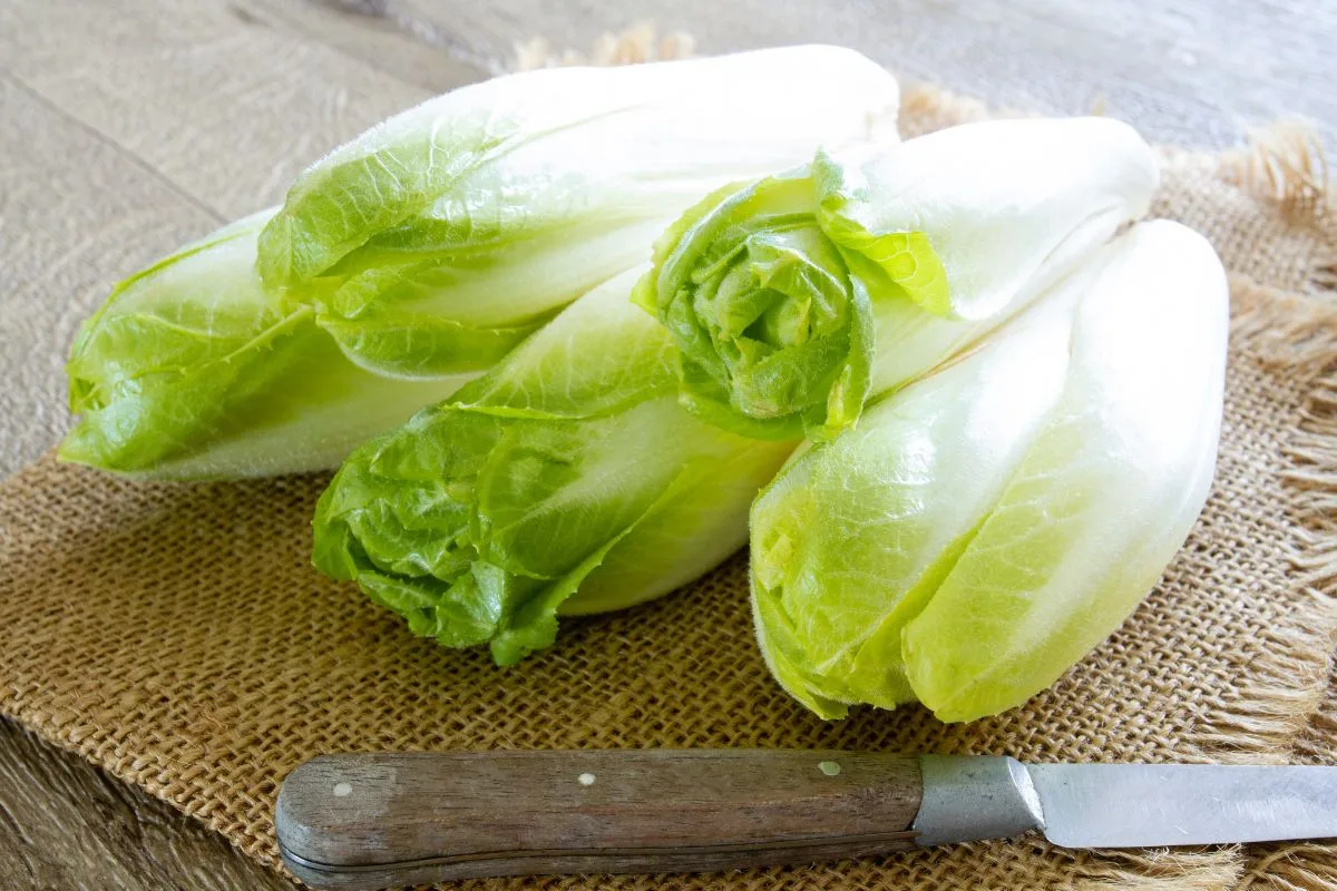 How To Use Endive In Your Cooking | STL Homelife